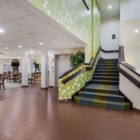 Sleep Inn Peachtree City - Atlanta מראה חיצוני תמונה